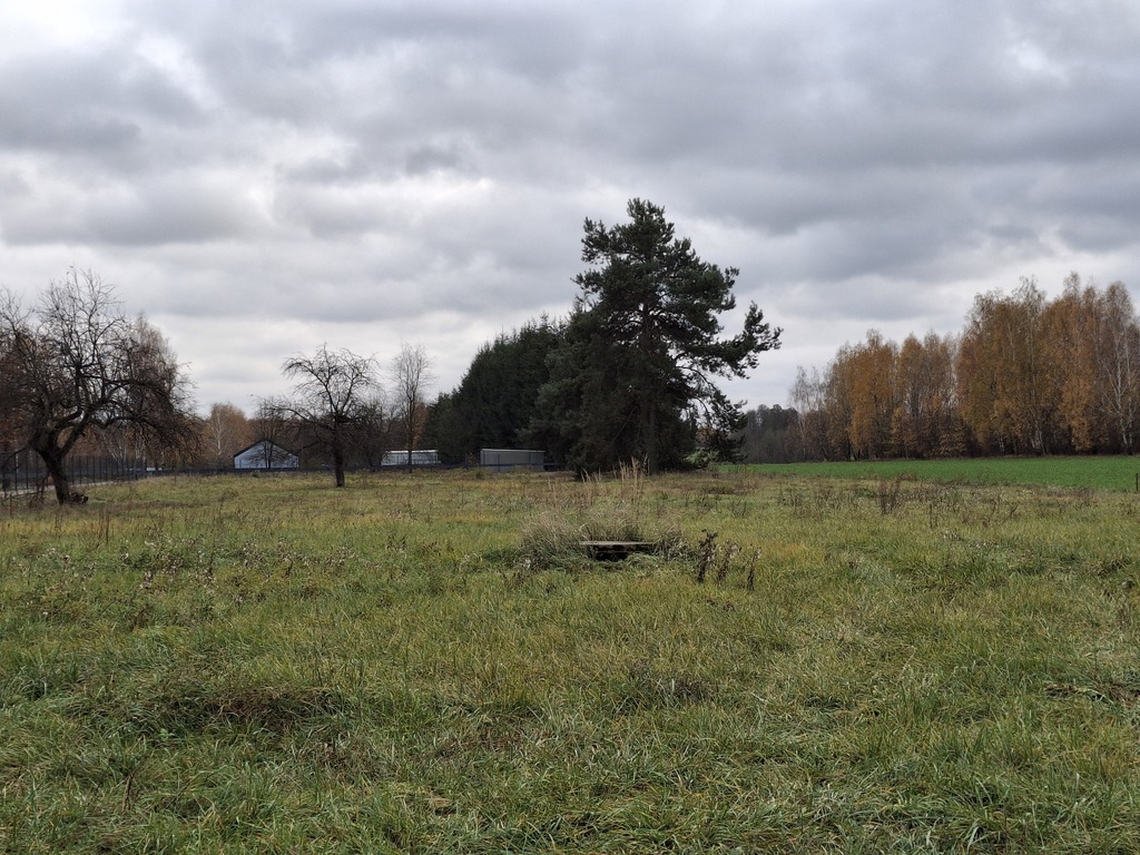 Działka 4300 m2 w miejscowości Zboiska — zdjęcie 4