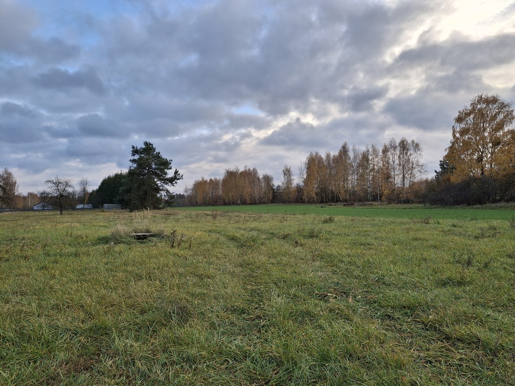 Działka 4300 m2 w miejscowości Zboiska
