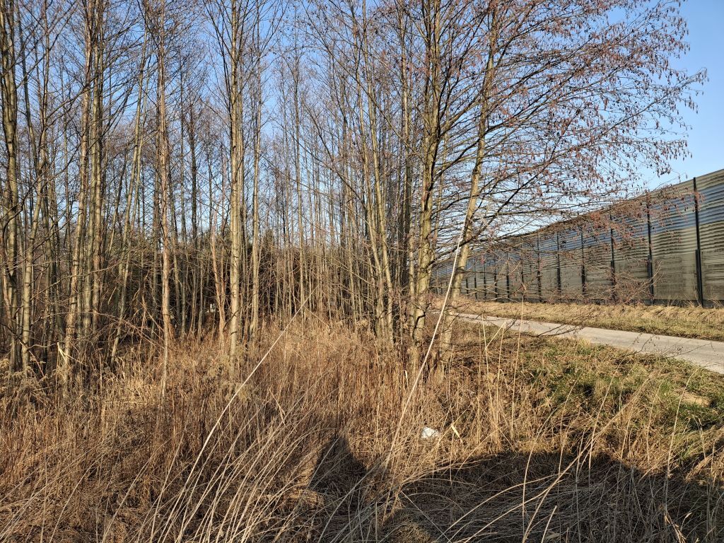 Działka o pow. 8900 m²  Radziejowice-Parcel — zdjęcie 3