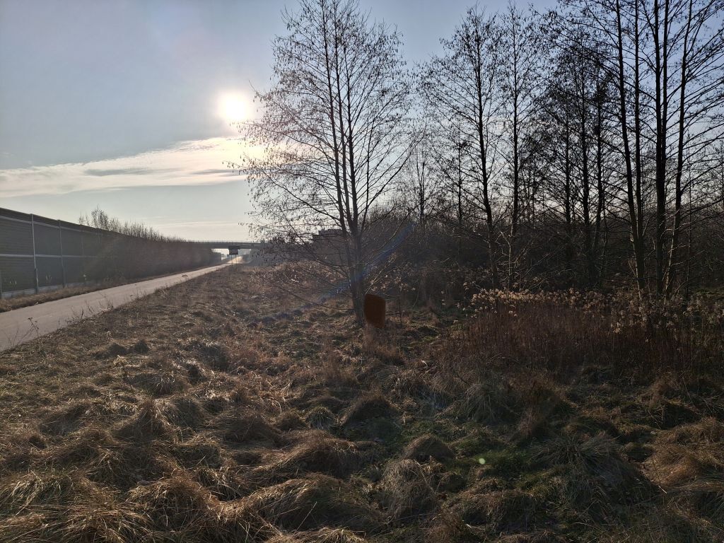 Działka o pow. 8900 m²  Radziejowice-Parcel