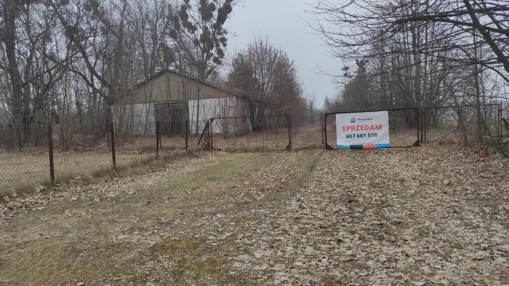 Działka komercyjna  Zaborze, blisko Kazimierza