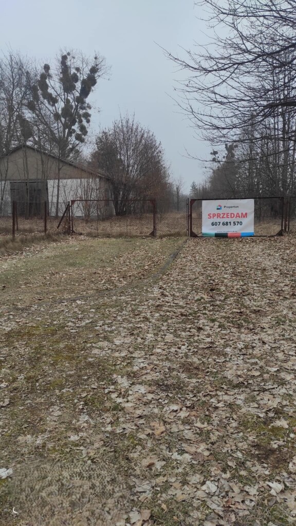 Działka komercyjna  Zaborze, blisko Kazimierza — zdjęcie 4