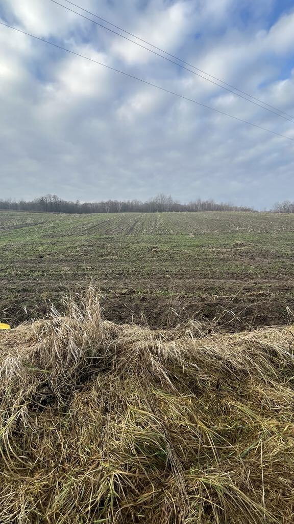Piękna działka w pobliżu Kazimierza Dolnego — zdjęcie 2