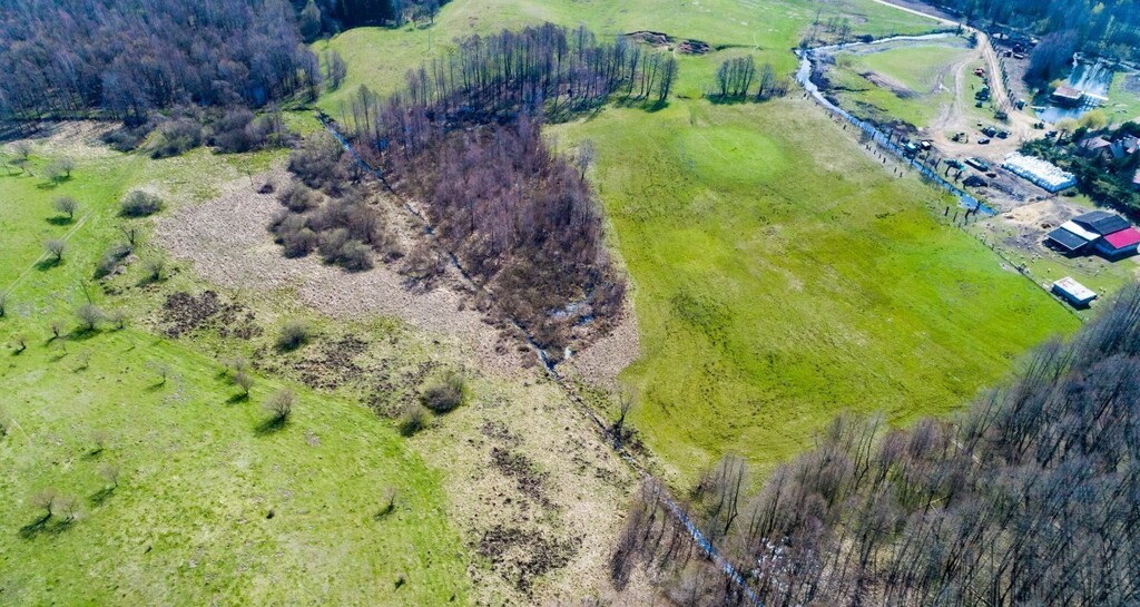 Działka z linią brzegową Sasek Wielki/ WZ — zdjęcie 8
