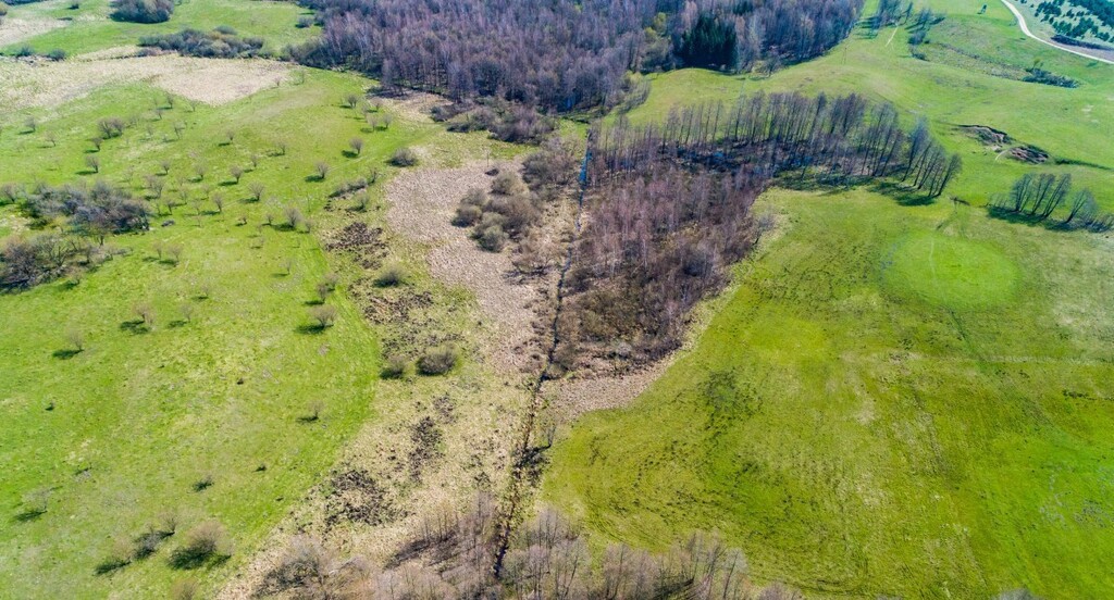 Działka z linią brzegową Sasek Wielki/ WZ — zdjęcie 10