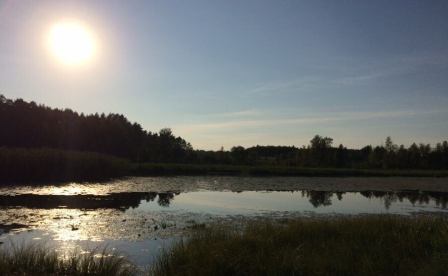 Działka z linią brzegową Sasek Wielki/ WZ — zdjęcie 13