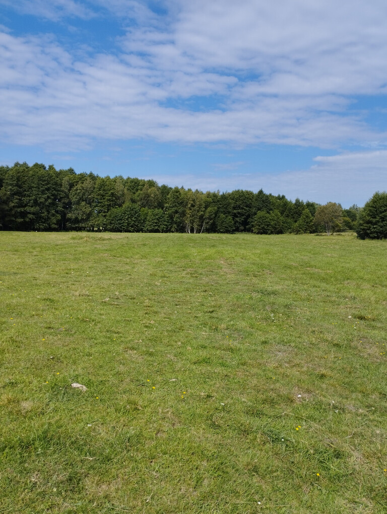 Działka z linią brzegową Sasek Wielki/ WZ — zdjęcie 14