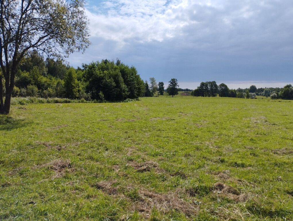 Działka z linią brzegową Sasek Wielki/ WZ — zdjęcie 15