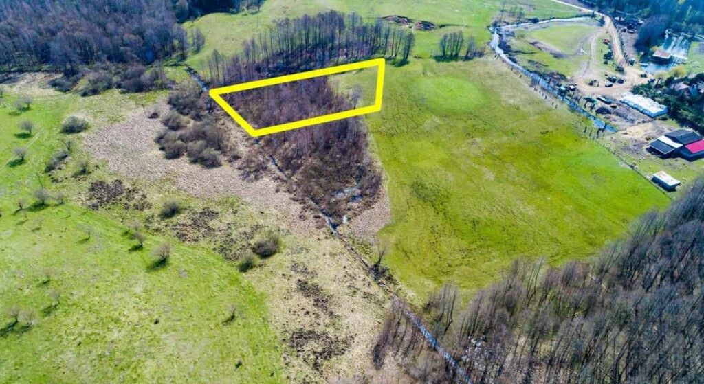 Działka 3017 m2 nad jeziorem Sasek Wielki ! — zdjęcie 6