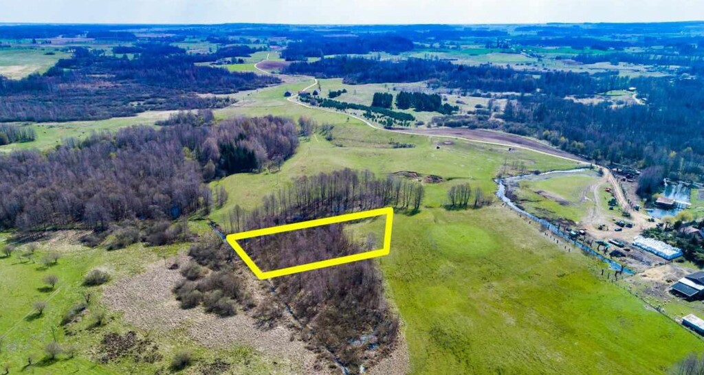 Działka 3017 m2 nad jeziorem Sasek Wielki ! — zdjęcie 7