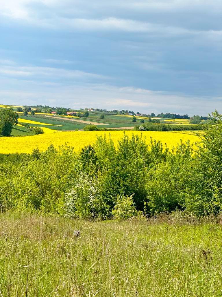Dom Karwów Opatów 71 m2 działka 3100 m2 cisza — zdjęcie 3