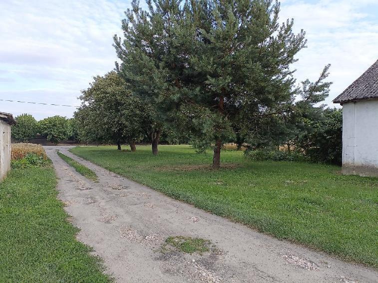Siedlisko w Ziółkowie