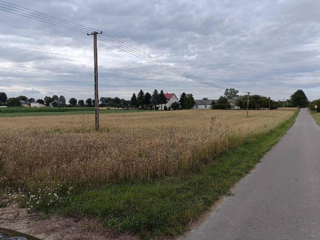 Siedlisko w Ziółkowie — zdjęcie 4