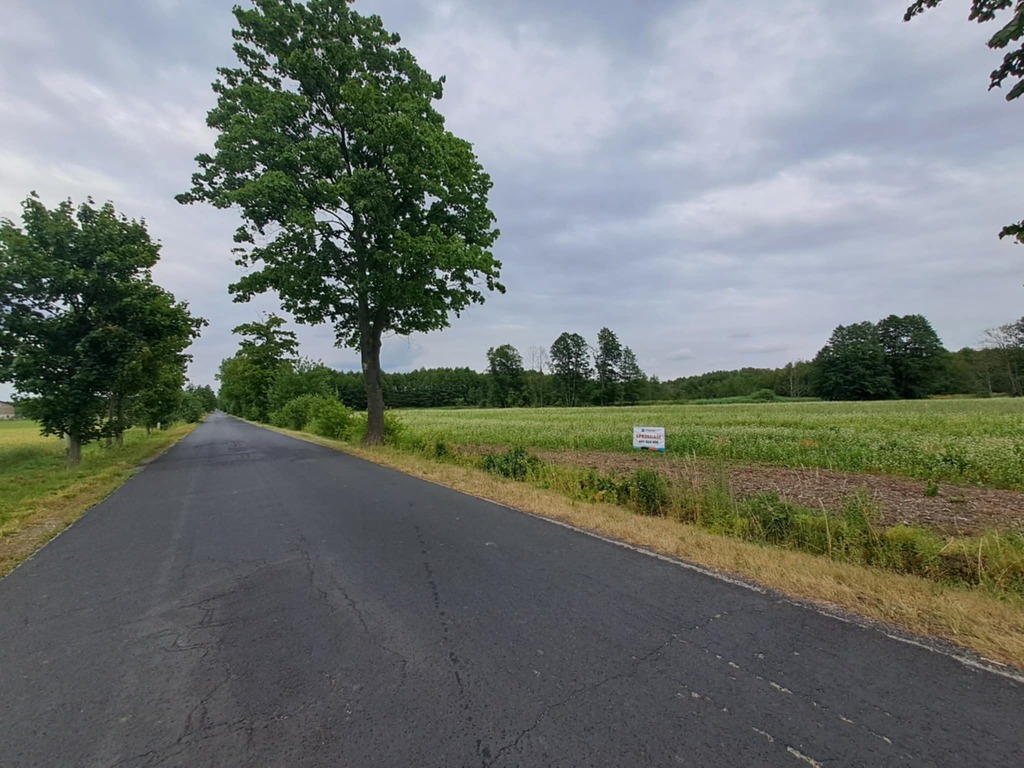 Działka Olszówka blisko Mszczonów Żyrardów SunTago — zdjęcie 2