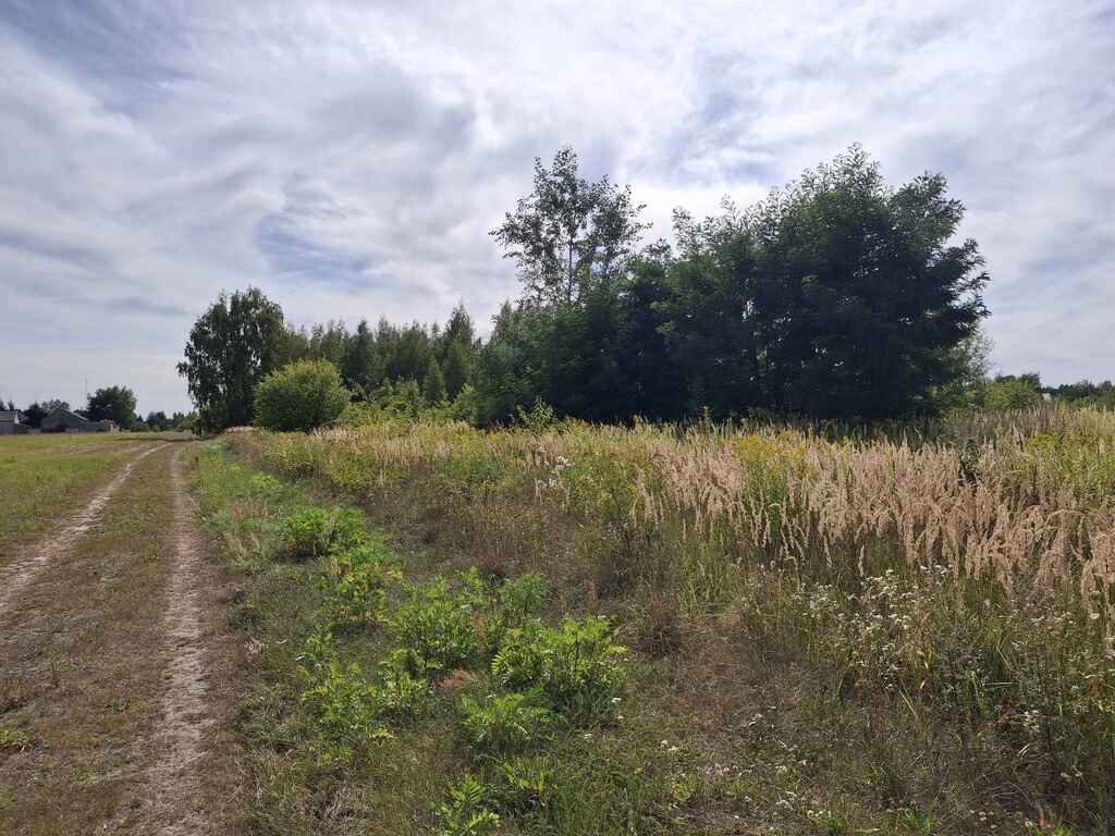 Działki również dla dewelopera
