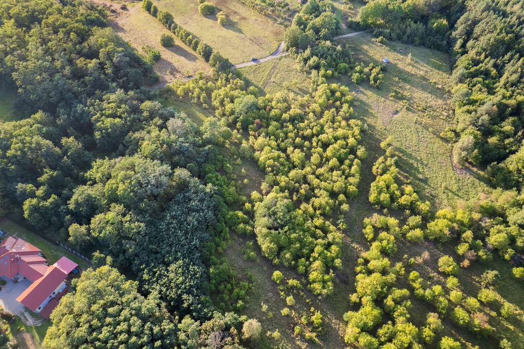 Działki budowlane w Świdnicy — zdjęcie 3