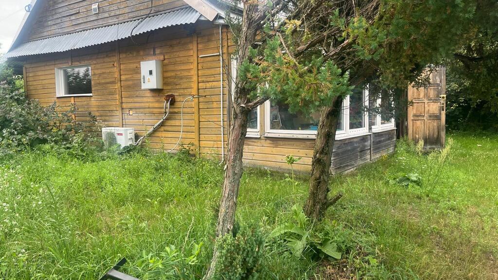 Siedlisko  w Chojnie Nowym II