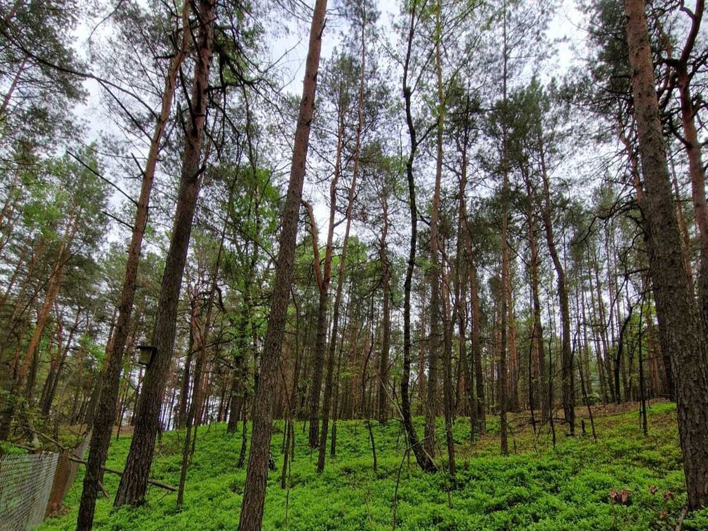 Prywatny azyl blisko Warszawy – działka 900m²
