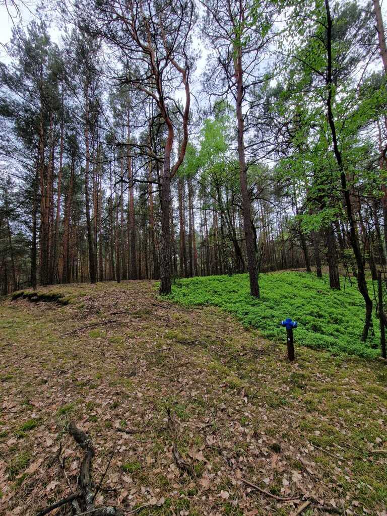 Prywatny azyl blisko Warszawy – działka 900m² — zdjęcie 2