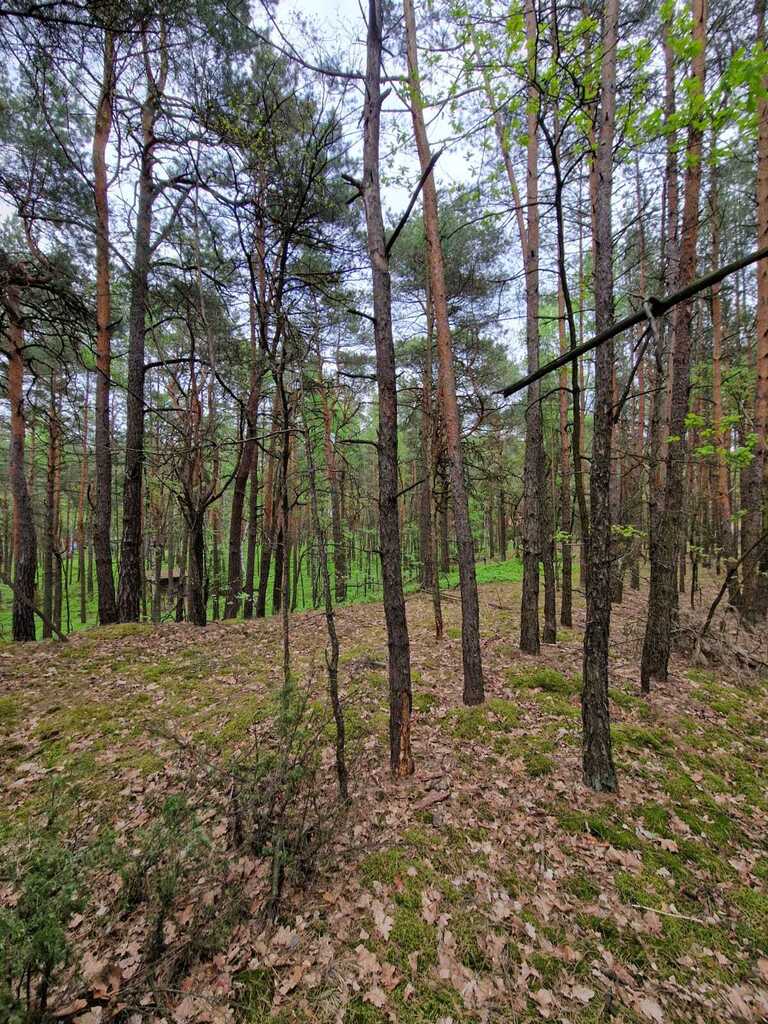 Prywatny azyl blisko Warszawy – działka 900m² — zdjęcie 3