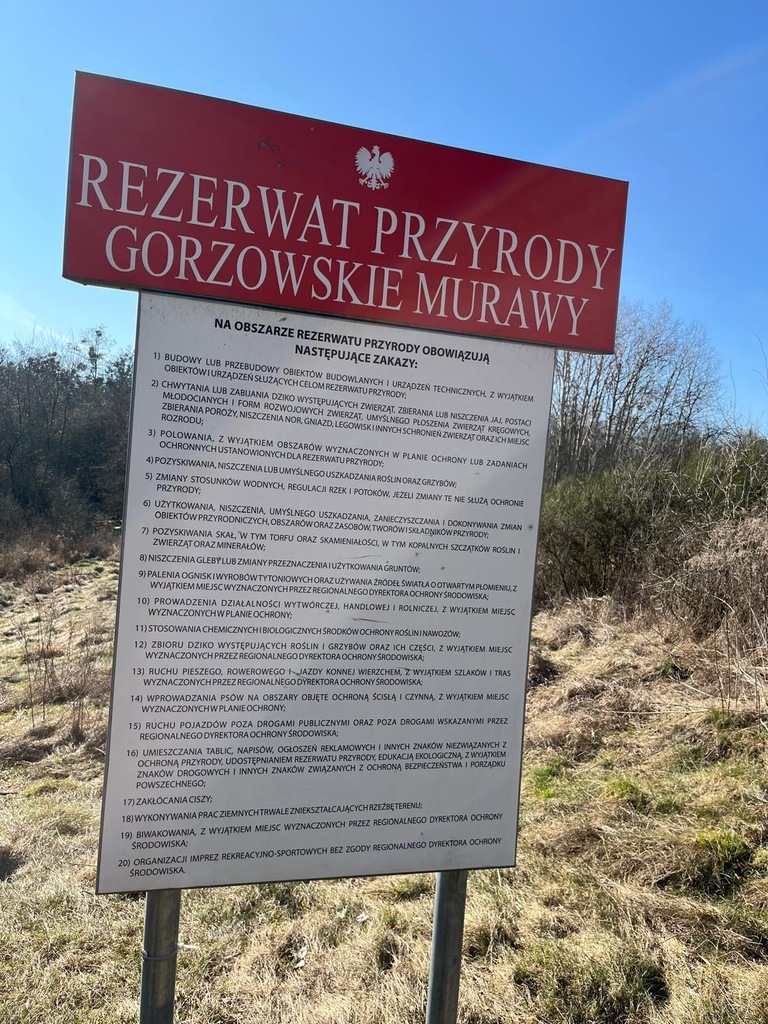 Dom marzeń przy rezerwacie przyrody - ul. Saperów — zdjęcie 12