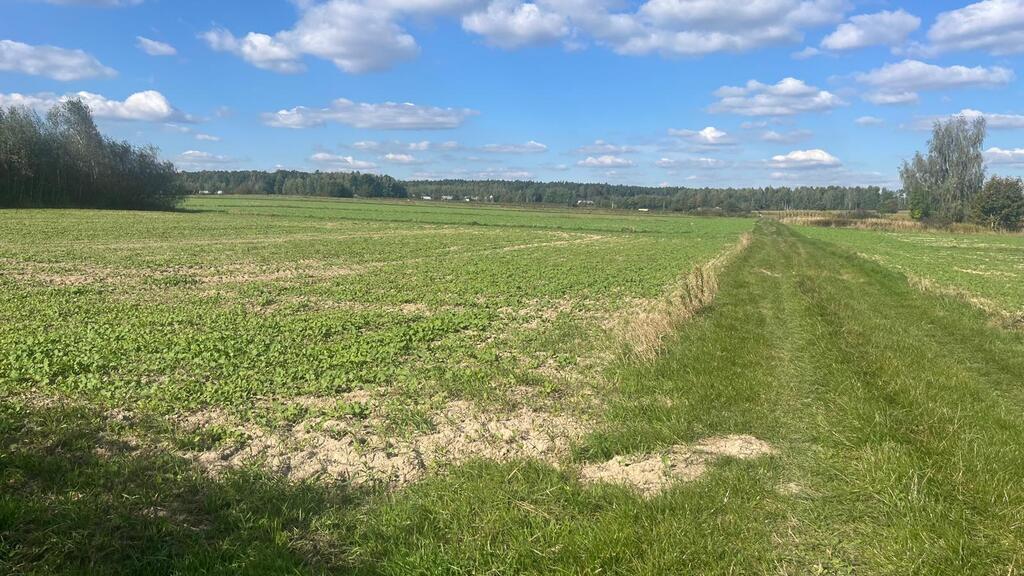 Działki przemysłowo-usługowe w Janowie Lubelskim