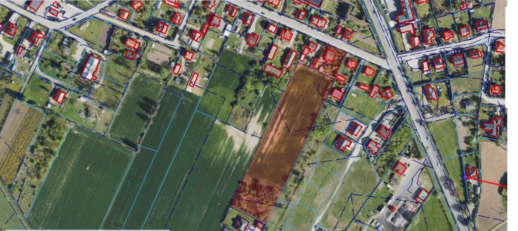 Dom na sprzedaż Chruszczewo z działką 1.1502 ha  ! — zdjęcie 3