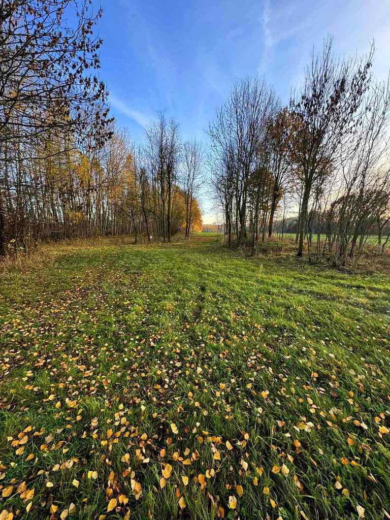 Działka bud-rolna Łomnica/Garwolin -2,47 ha — zdjęcie 2