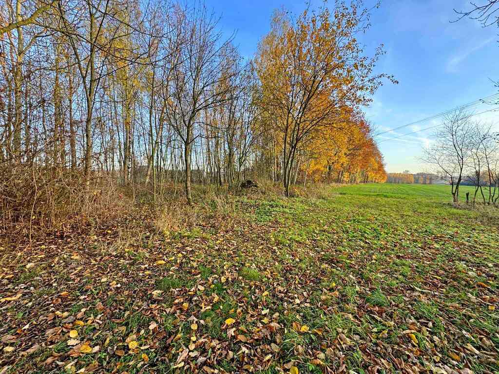 Działka bud-rolna Łomnica/Garwolin -2,47 ha — zdjęcie 3