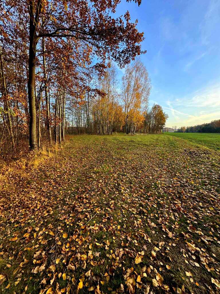 Działka bud-rolna Łomnica/Garwolin -2,47 ha — zdjęcie 4