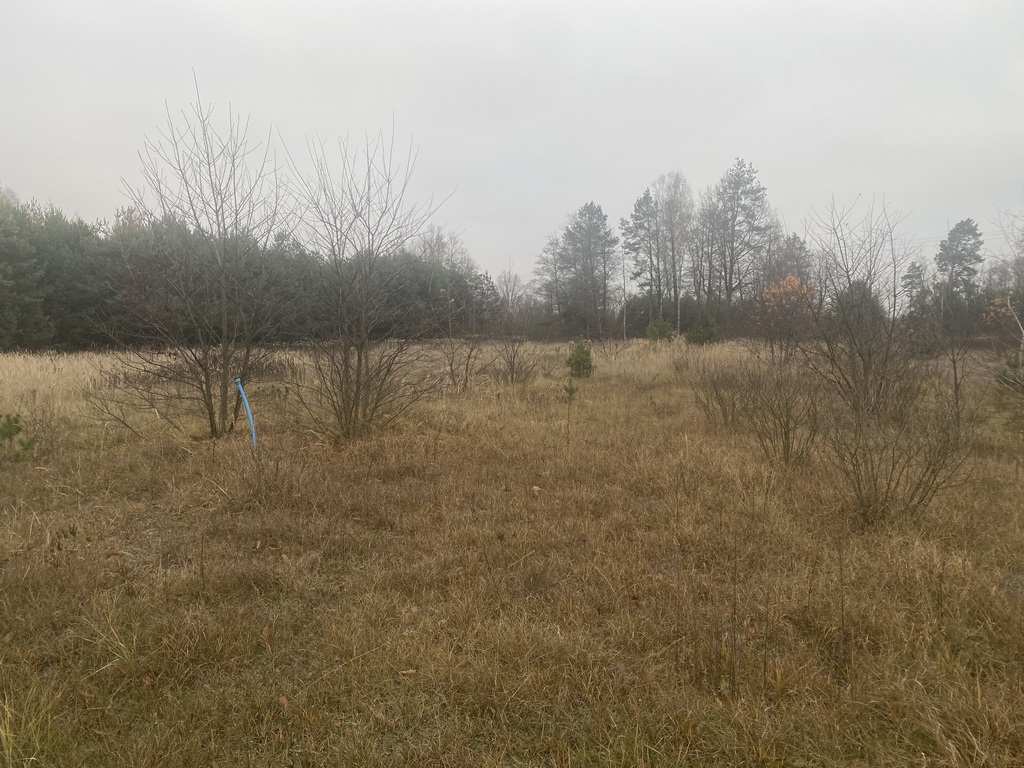 Atrakcyjna działka przy Lasach Janowskich — zdjęcie 3
