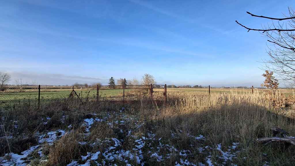Siedlisko 1,04 ha z domem i zabudowaniami — zdjęcie 11