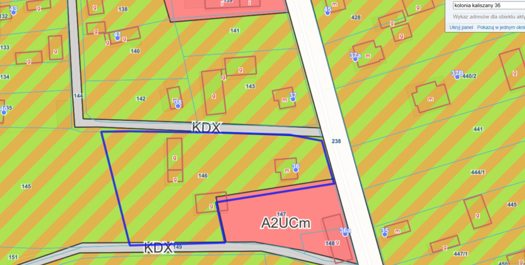 Działka usługowo-budowlana 5000m2 Kaliszany kol. — zdjęcie 11
