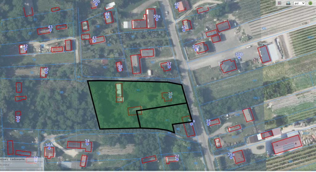 Działka usługowo-budowlana 5000m2 Kaliszany kol. — zdjęcie 13