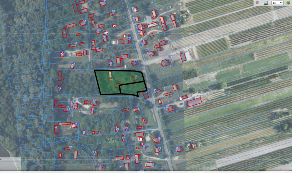 Działka usługowo-budowlana 5000m2 Kaliszany kol. — zdjęcie 14
