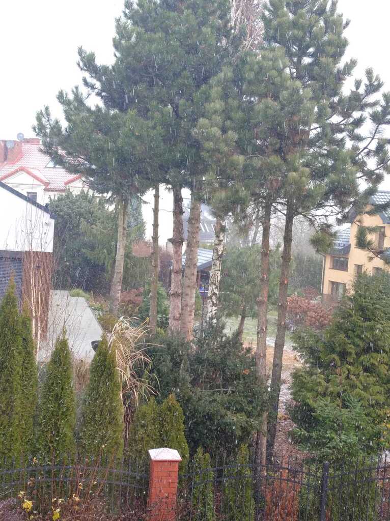 Wyjątkowy dom na Szerokim — zdjęcie 12