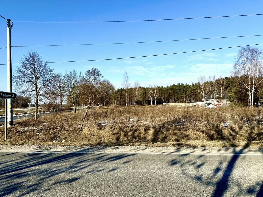2 działki w leśnym otoczeniu, 0,2503ha i 0,1500ha