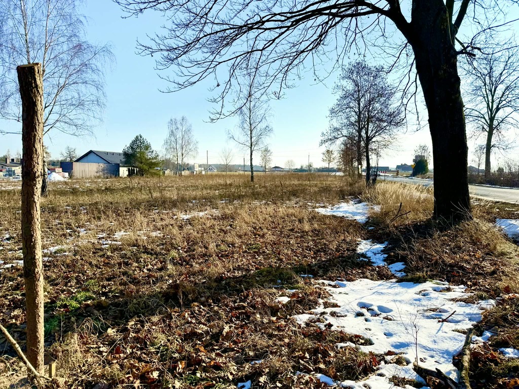2 działki w leśnym otoczeniu, 0,2503ha i 0,1500ha — zdjęcie 3