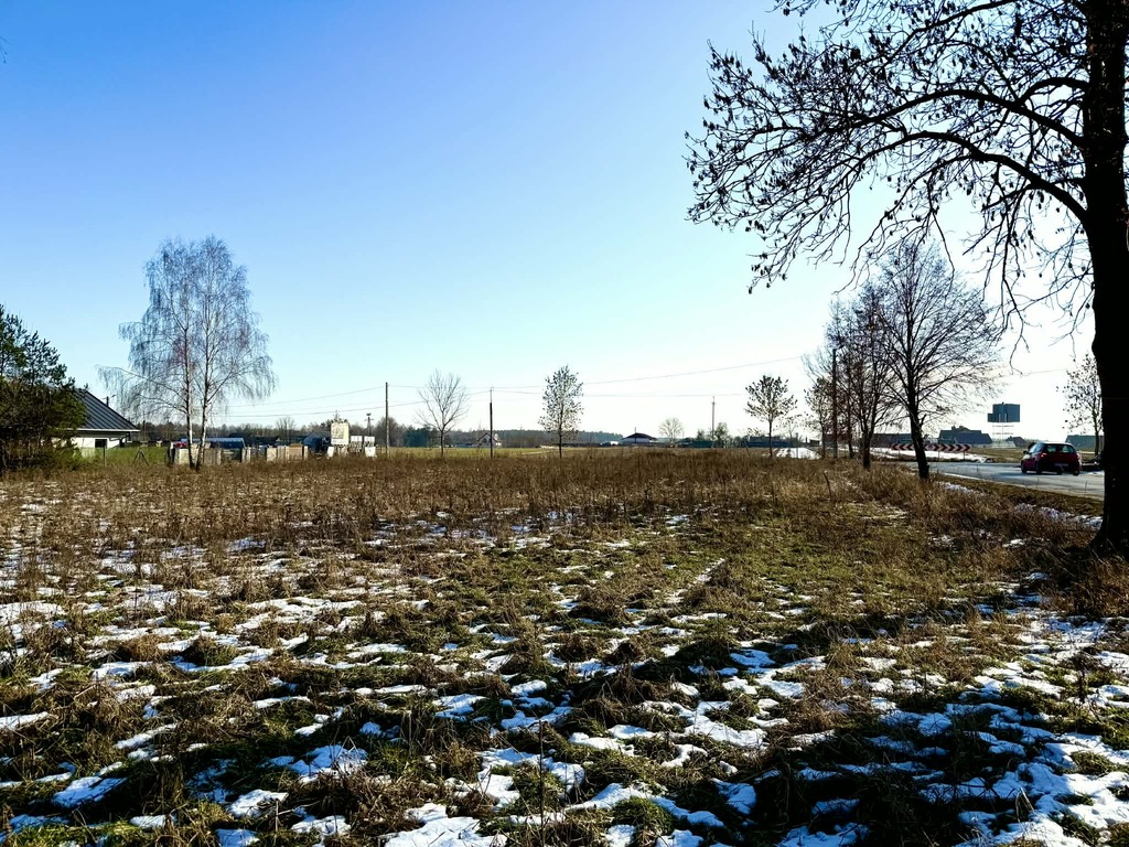 2 działki w leśnym otoczeniu, 0,2503ha i 0,1500ha — zdjęcie 4
