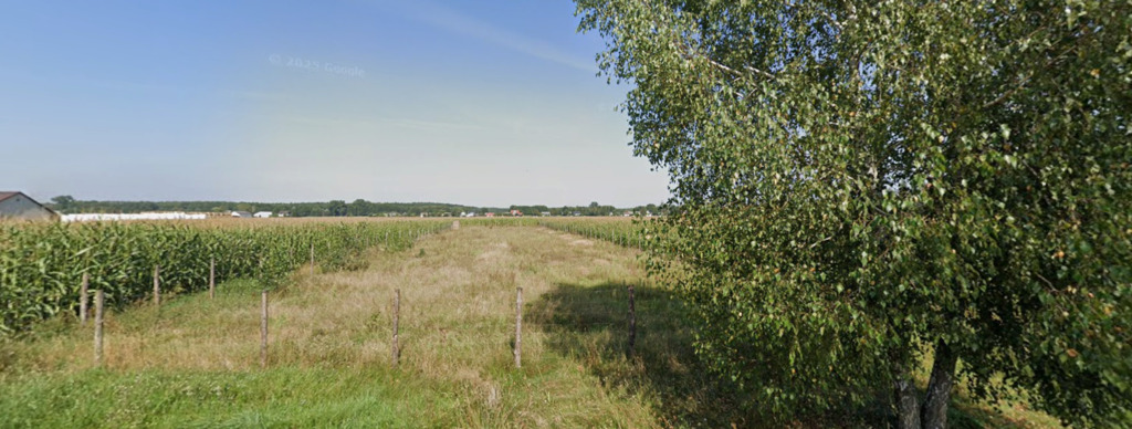 Działka 7001 m² z MPZP | Nowa Pecyna — zdjęcie 2