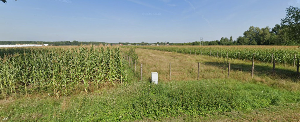 Działka 7001 m² z MPZP | Nowa Pecyna — zdjęcie 3