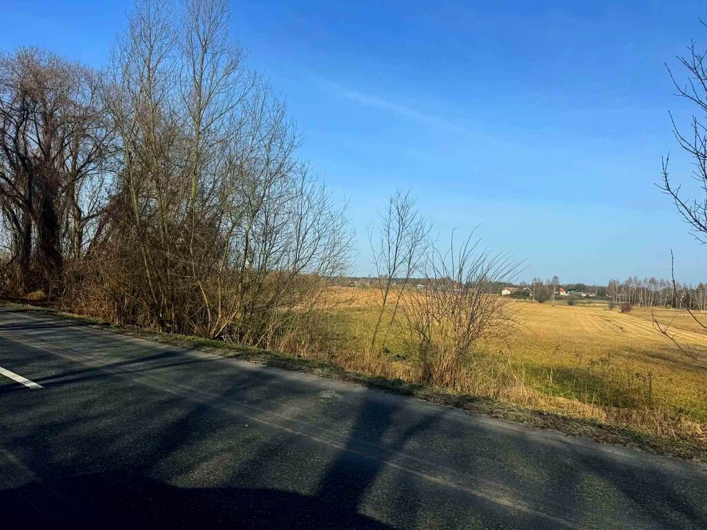 Opole Lubelskie – duża działka rolna 4 822 m²