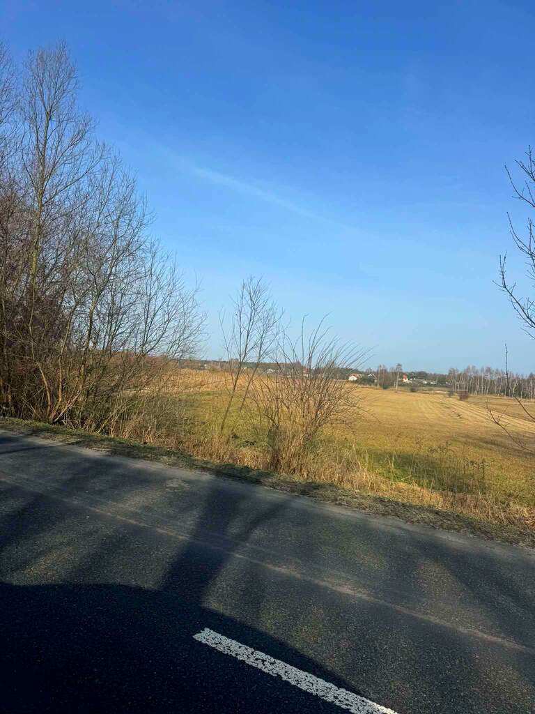 Opole Lubelskie – duża działka rolna 4 822 m² — zdjęcie 2