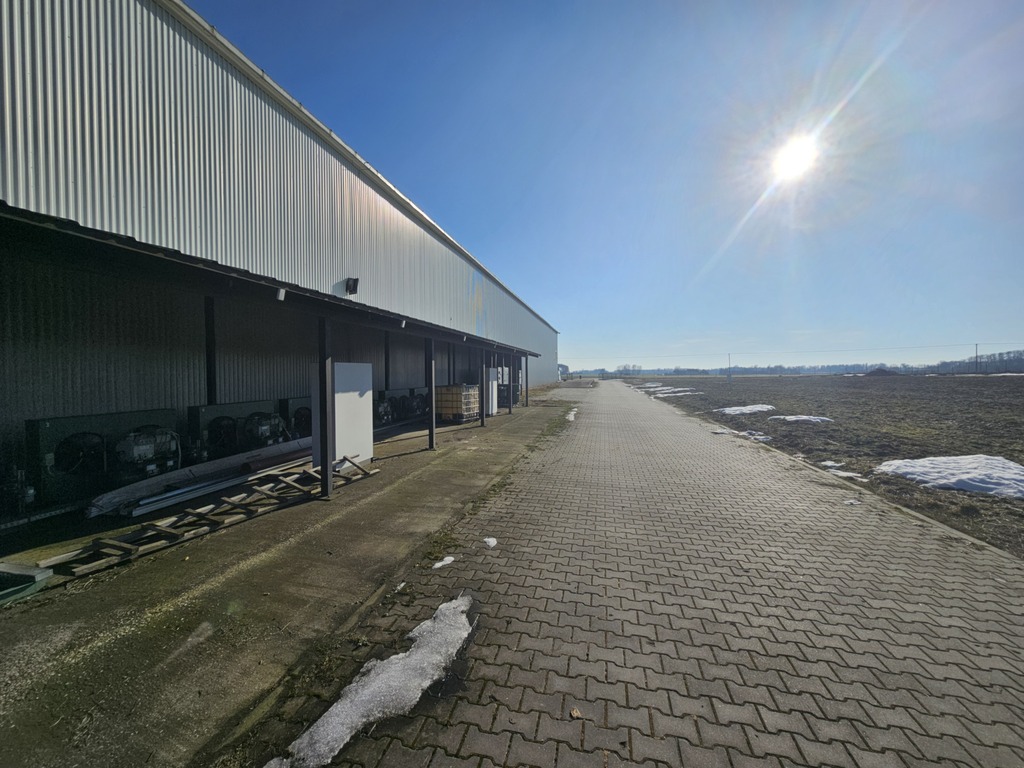 Hala 1600m2 z chłodnią Kamionna | Działka 1,9 ha — zdjęcie 11