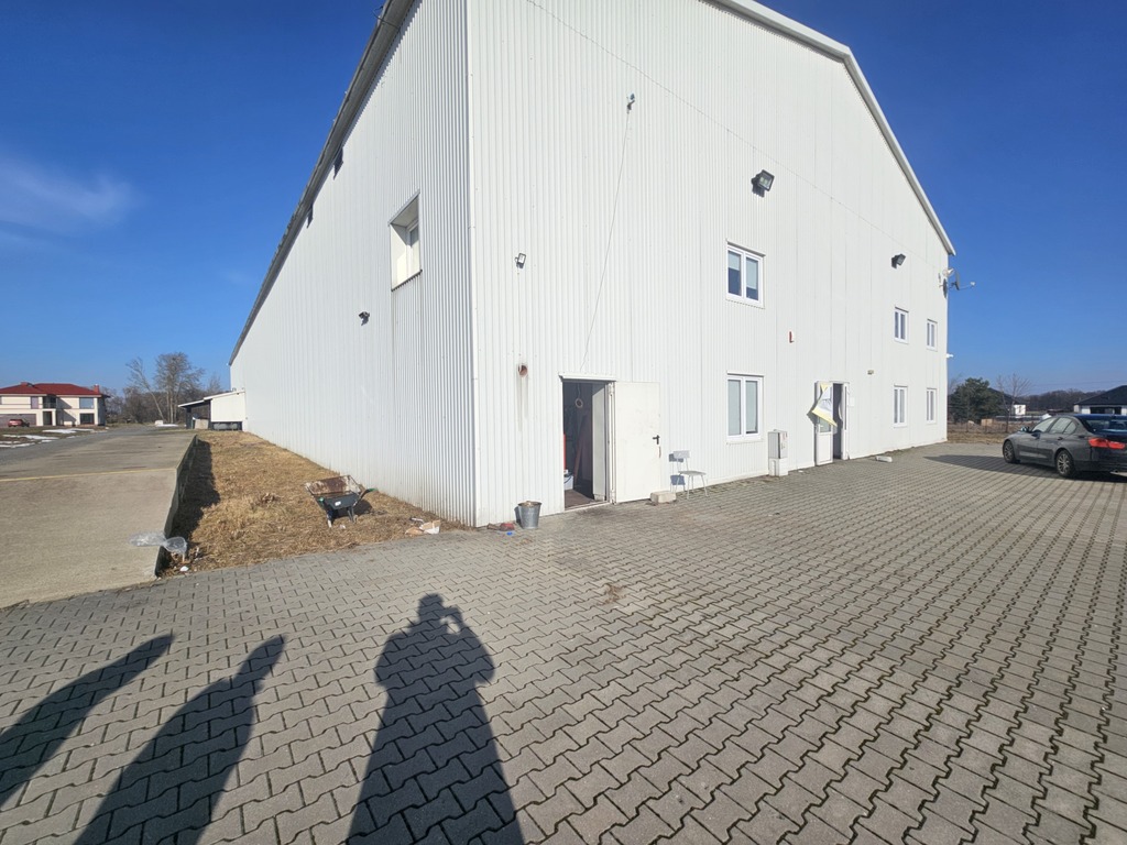 Hala 1600m2 z chłodnią Kamionna | Działka 1,9 ha