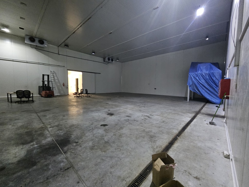 Hala 1600m2 z chłodnią Kamionna | Działka 1,9 ha — zdjęcie 4