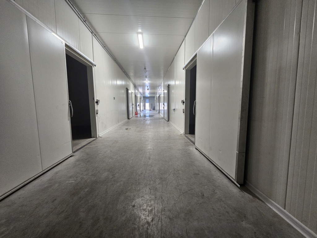 Hala 1600m2 z chłodnią Kamionna | Działka 1,9 ha — zdjęcie 5