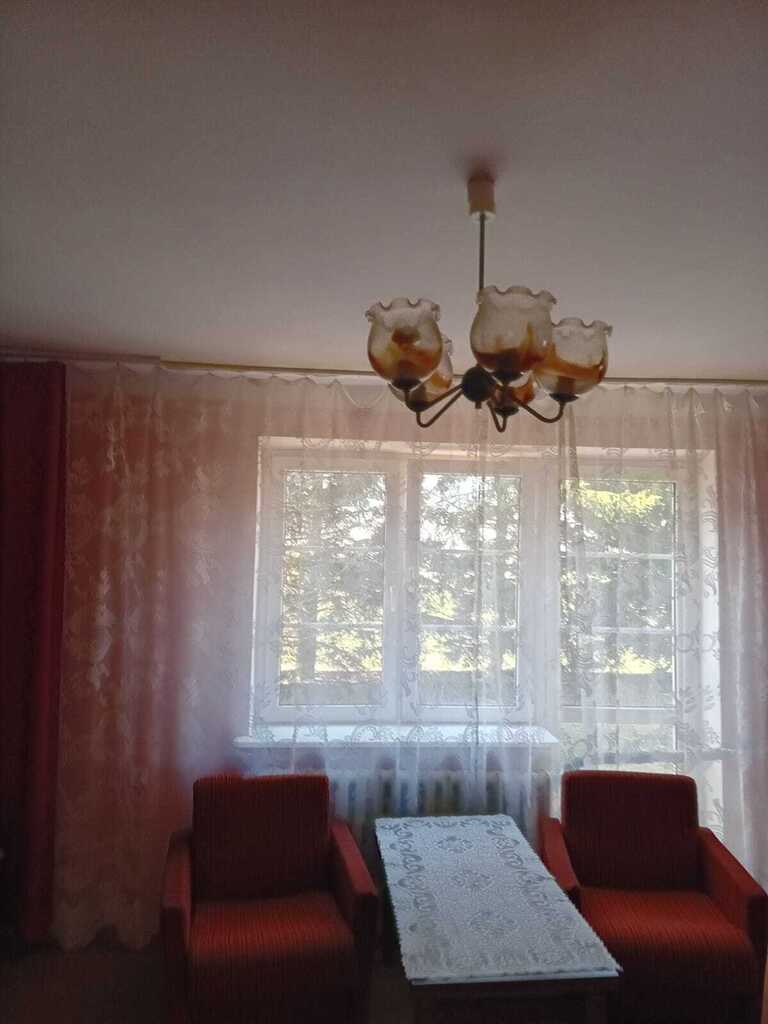 Dom, 2 bud. gosp., garaż - pow. 1 ha lub siedlisko — zdjęcie 5