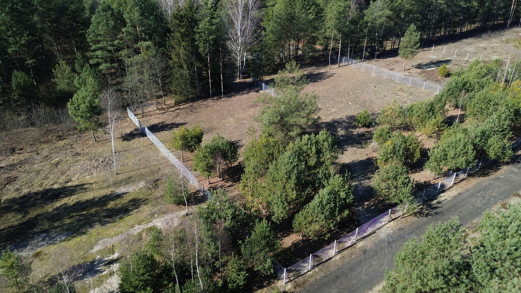 Ołdakowizna: Działka 892m2 z pozwoleniem i WZ — zdjęcie 3