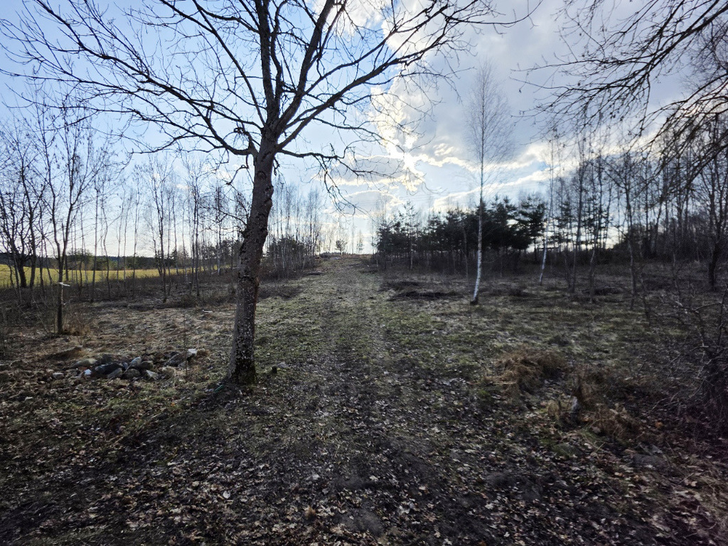Malownicza działka koło Lutynowa — zdjęcie 3